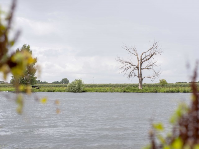 Waterkracht in film