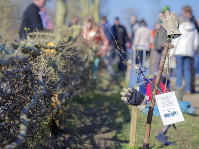 SMR op het NK Maasheggenvlechten 2016